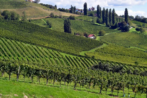 Avusturya Slovenya Sınırına Yakın Styrian Şarap Rotasında Yer Alan Sulz — Stok fotoğraf