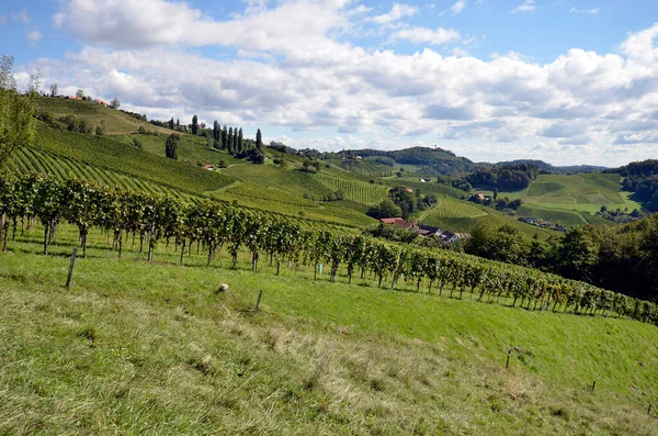 Rakousko Vinice Strmých Svazích Údolí Sulz Nachází Štýrské Vinařské Stezce — Stock fotografie