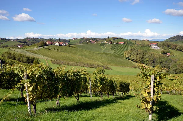 Österrike Vingårdar Branta Sluttningarna Sulz Valley Ligger Vinvägen Steiermark Nära — Stockfoto