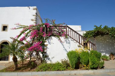 Girit 'in kuzeydoğusunda yer alan Toplou manastırının avlusunda Yunanistan, merdiven ve baugainvillea