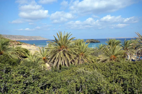 由于岛上最东北部有许多棕榈树 海滩上有沙滩 因此希腊是一个受欢迎但难以到达和保护的地区 — 图库照片