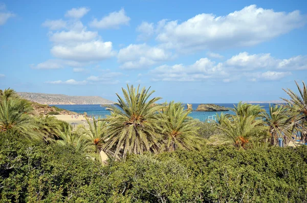 Grecia Playa Vai Área Popular Pero Difícil Alcanzar Protegida Debido —  Fotos de Stock