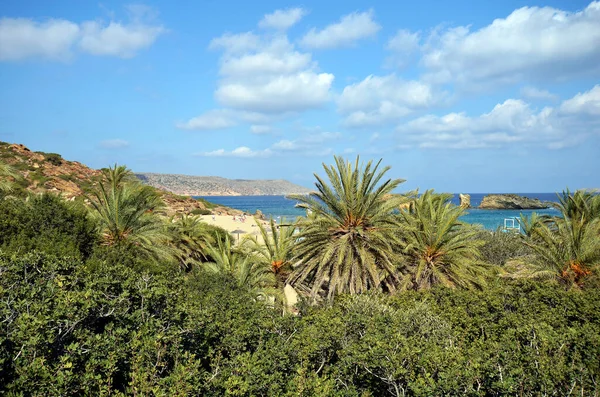 Grecia Playa Vai Área Popular Pero Difícil Alcanzar Protegida Debido —  Fotos de Stock