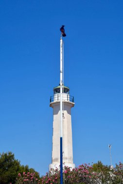 Yunanistan, Halkidiki, Possidi deniz feneri ve bayrak direğinde kuzgun