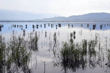 Kuzey Makedonya, Yunanistan, Dojran gölü veya Doirani gölü her iki ülke arasında bölünmüş durumda ve sınır özellikle kuşlar için bir doğa rezervi ve koruma alanı olan göl boyunca uzanıyor.