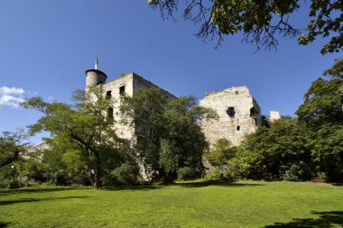 Avusturya, ortaçağ kalesi Falkenstein iyi bilinen bir şarap bölgesinde ve Çek Cumhuriyeti sınırı yakınlarındaki Weinviertel 'de tercih edilen bir yer.