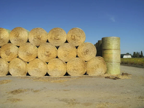 Austria Stacked Straw Bales Used Bedding Fodder Cattle Farming — Stock Photo, Image