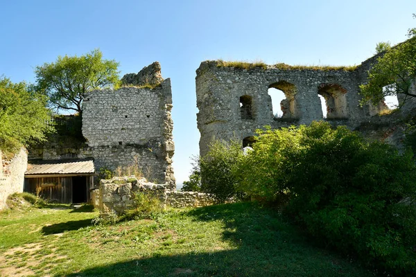 Austria Średniowieczny Zamek Falkenstein Znanym Regionie Winiarskim Preferowanym Miejscem Weinviertel — Zdjęcie stockowe