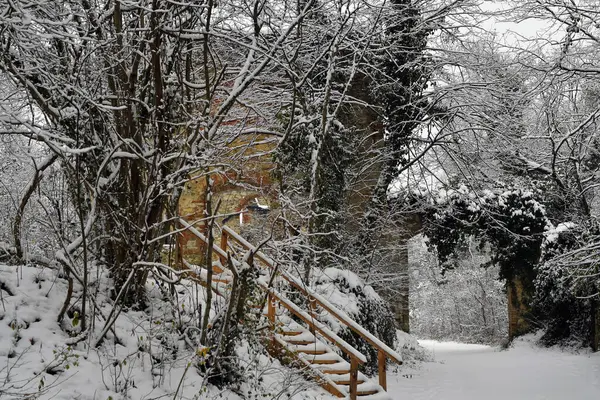 Avusturya, 17. yüzyıldan kalma Mannersdorf Wueste doğa koruma alanında Leopold Şapeli 'nin karla kaplı kalıntıları.