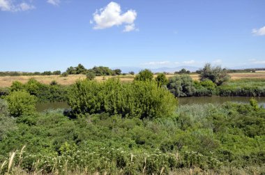 Greece, landscape along Strymon river in Amfipoli, Central Macedonia clipart