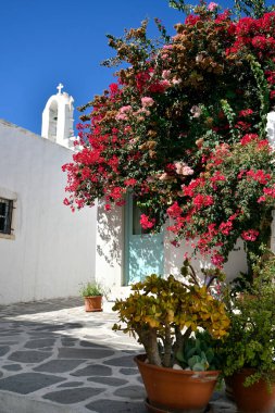 Parikia, Greece - September 17, 2024: Bell tower and house overgrown with flowering baugainvillea clipart