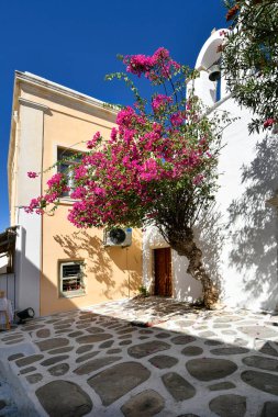 Parikia, Greece - September 17, 2024: Tiny church with bell tower and flowering baugainvillea in the picturesque town of Parikia clipart