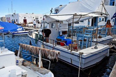 Paros, Greece - September 18, 2024: Freshly caught squid spread out on rack and oriental hornet, the squid is a traditional dish in the Mediterranean cuisine clipart