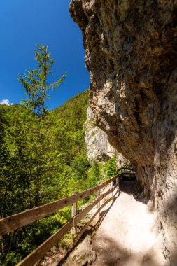 Avusturya Seyahat Hedefi Wolfsklamm, Alplerde şelaleyle yürüyüş yolu