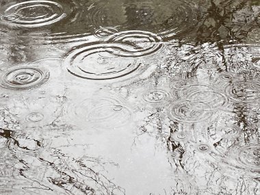 Background of concentric circles of raindrops in puddle