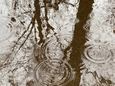 Background of concentric circles of raindrops in puddle