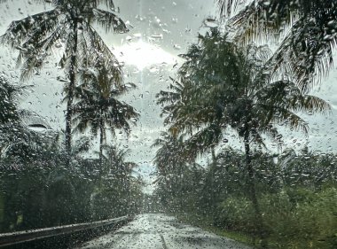 Yağmurlu bir günde ön camdan tropikal yol manzarası