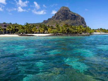 Mauritius 'taki Le Morne Brabant dağının tropik manzarası