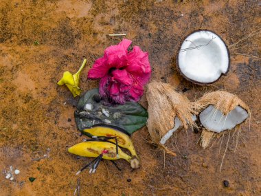 Mauritius, Grand Bassin 'deki Ganga Talao Tapınağı' nda yapılan dini ayinler sırasında tanrılara sunulan adakların yakın çekimi.