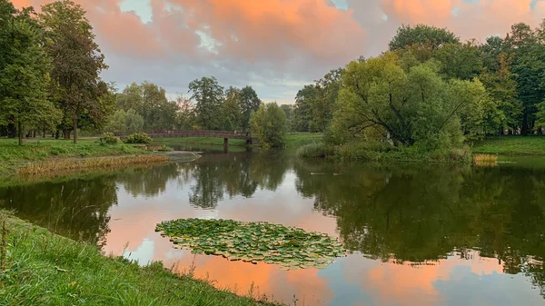 stock image Poland September 2022: Pond in city park at sunset, reflection of clouds, island with old tree, swimming ducks