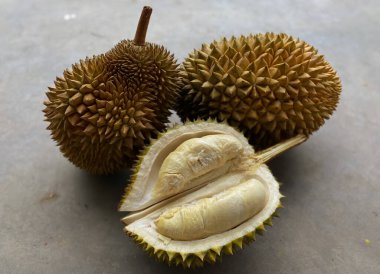 Taze ve olgun durian meyvesi. Durian Durio, Güneydoğu Asya bölgesinden gelen ve benzersiz şekli ve kendine özgü aromasıyla popüler bir tropikal bitkidir..