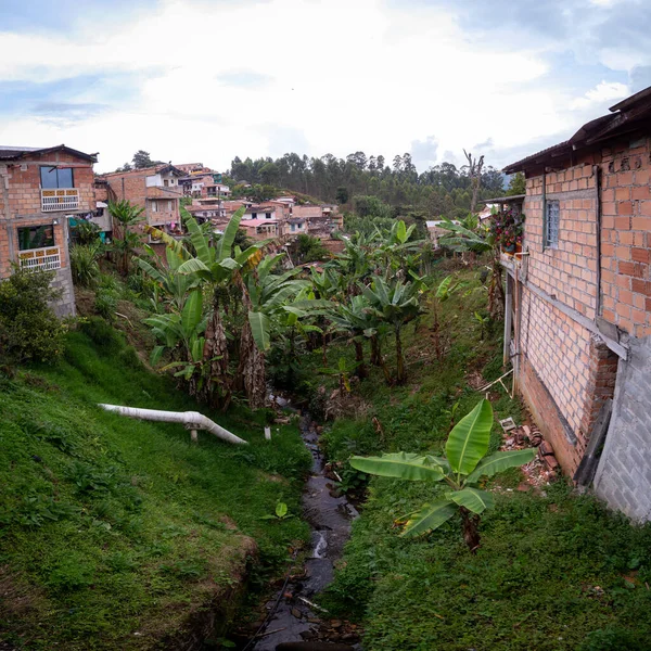 Банки Зеленої Річки Бананами Оранжевими Цегляними Будинками — стокове фото