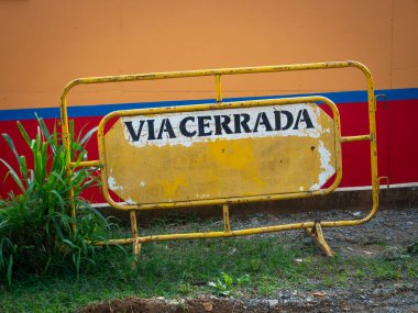 Kolombiya Bayrak Renkli Duvarına Karşı 