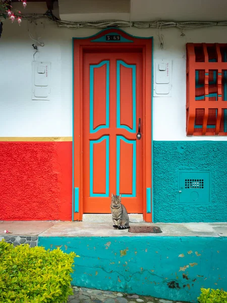 Cat Encuentra Junto Una Hermosa Puerta Azul Naranja — Foto de Stock
