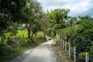 Bir sürü ağaç ve bitki ve tel örgüyle çevrili Toprak bir yoldan geçen bir araba.