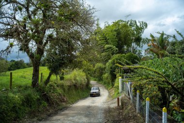 Bir sürü ağaç ve bitki ve tel örgüyle çevrili Toprak bir yoldan geçen bir araba.
