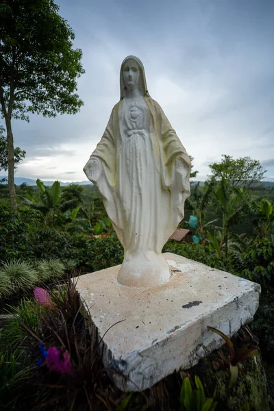 Neitsyt Marian Patsas Keskellä Maaseutua Pilvisenä Päivänä — kuvapankkivalokuva