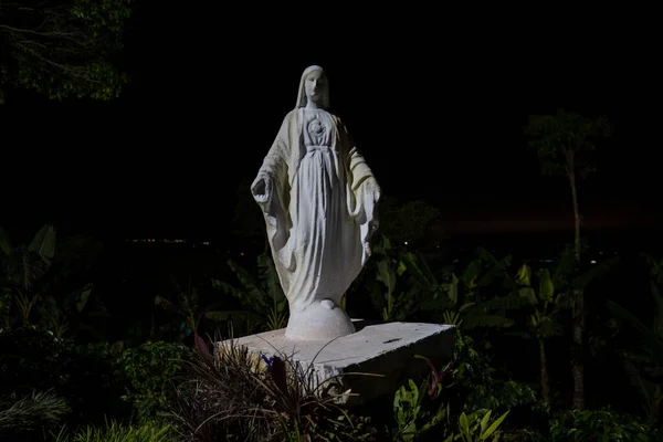 Zifiri Karanlıkta Ormanın Ortasında Bakire Meryem Heykeli - Stok İmaj