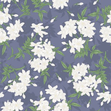 Beyaz yasemin çiçekleri pürüzsüz desenli. Jasminum 'un çiçekleri ve yaprakları koyu arkaplanda. Vektör çizimi botanik. El çizimi vintage tarzı.