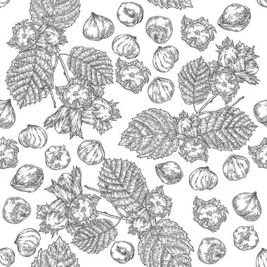 Fındık pürüzsüz desen. Elle çizilmiş fındık ağacı dalları ve yapraklar. Oymalı vektör illüstrasyonu.