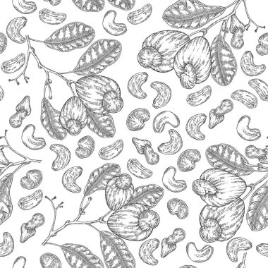 Cevizsiz kaju deseni. El yapımı kaju ağacı fındığı ve yaprakları. Vektör illüstrasyonu siyah ve beyaz.
