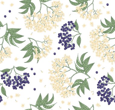 Elderflower kusursuz desen. Mürver böğürtlenli, Sambucus çiçekli el çizimi. Vektör illüstrasyon klasiği.