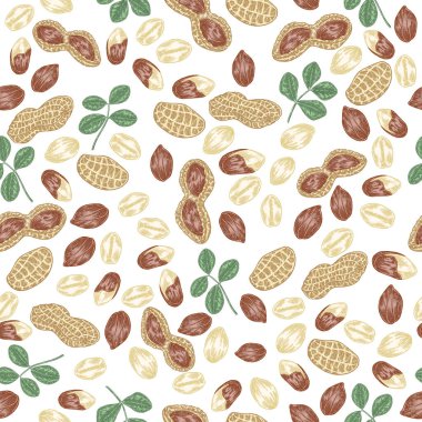 Fıstıksız desen. El yapımı fıstık ve yapraklar. Vektör illüstrasyon eli çizildi.