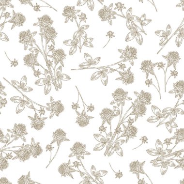 Kırmızı yonca çiçekleri pürüzsüz desen. Vektör çizimi. Beyaz arka planda el çizimi çiçekler ve yonca yaprakları. Klasik ayrıntılı biçim.