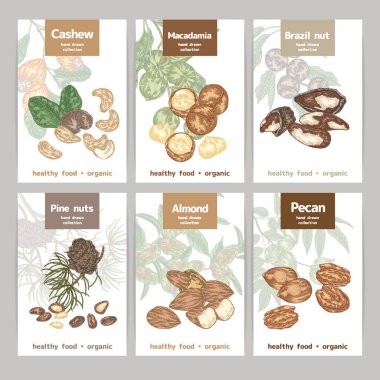 Fındık etiketleri hazır. Kaju, Macadamia, badem, çam fıstığı, Brezilya fındığı, ceviz. Paketleme için tasarım.