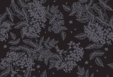 Elderflower kusursuz desen. Koyu arkaplanda yaşlı çiçekler ve böğürtlenler. Vektör illüstrasyon eli çizildi.
