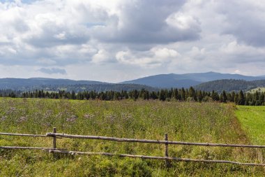 Karpatlar 'da bir dağ çayırı. Vadileri ve çimenli tepeleri olan yaz manzarası. Parlak mavi gökyüzünde kabarık bulutlar. Doğa tazeliği kavramı