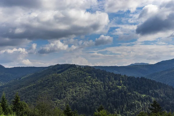 ウジロツキーからカルパティア山脈の美しいパノラマビューは ウクライナのカルパティア山脈で高いピークの山を渡します 古代の森 — ストック写真