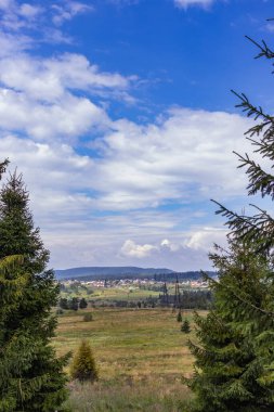 Karpatlar 'ın dağlık arazisi, Zakarpattia' nın kırsal kesiminden ladin ağaçlarının arasından görünüyor.