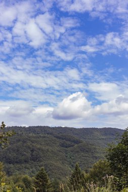 Güzel Karpat dağlarının sisli manzarasının görkemli manzarası. Dramatik sıradışı sahne. Dağ yolculuğu geçmişi. Güzellik dünyasını keşfediyorum. Karpat Dağları. Ukrayna. Avrupa