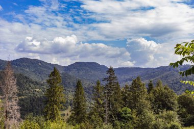 Güzel Karpat dağlarının sisli manzarasının görkemli manzarası. Dramatik sıradışı sahne. Dağ yolculuğu geçmişi. Güzellik dünyasını keşfediyorum. Karpat Dağları. Ukrayna. Avrupa