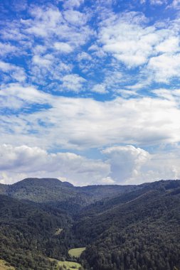 Güzel Karpat dağlarının sisli manzarasının görkemli manzarası. Dramatik sıradışı sahne. Dağ yolculuğu geçmişi. Güzellik dünyasını keşfediyorum. Karpat Dağları. Ukrayna. Avrupa
