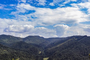 Güzel Karpat dağlarının sisli manzarasının görkemli manzarası. Dramatik sıradışı sahne. Dağ yolculuğu geçmişi. Güzellik dünyasını keşfediyorum. Karpat Dağları. Ukrayna. Avrupa