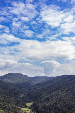 Güzel Karpat dağlarının sisli manzarasının görkemli manzarası. Dramatik sıradışı sahne. Dağ yolculuğu geçmişi. Güzellik dünyasını keşfediyorum. Karpat Dağları. Ukrayna. Avrupa