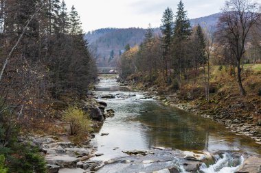Dağ nehir taşları ile. Hızlı su mevcut. Su fotoğraf doku. Tropik duvar kağıdı gri nehirde. Rafting nehir orman içinde. Sıçratan hızlı nehir doku. Doğal su doku. Taze bahar Üstten Görünüm