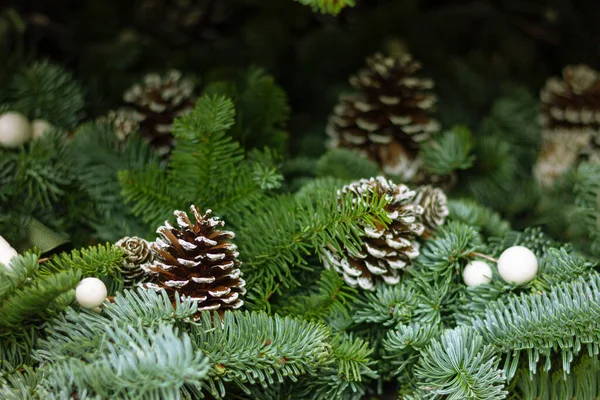가문비나무 가지와 솔방울 크리스마스 클로즈업 새해의 — 스톡 사진